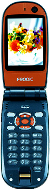F900iC＜オレンジ＞の写真（オープン時）