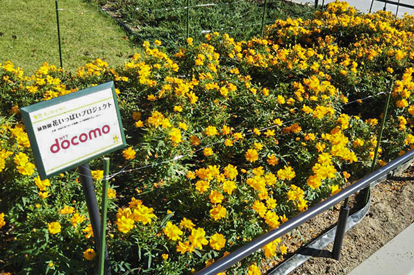 【愛知県】東山植物園　花いっぱいプロジェクトへの参加