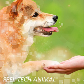 Image picture of FEEL TECH ANIMAL