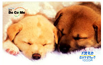 ドコモテレカ　モバイラーズ チェックの「子犬」1,000円券のイメージ