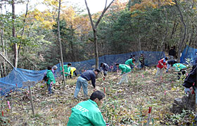 2006年11月「ドコモ　美作の森」森林整備活動の様子のイメージ