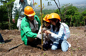 2008年5月「ドコモとっとり伯耆の森」森林整備活動の様子のイメージ