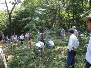 前回（2009年）の「ドコモ　美作の森」森林整備活動の様子