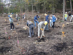 前回（2009年）の「ドコモ島根だんだんの森」森林整備活動の様子