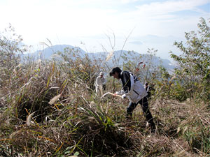 前回の「ドコモ安芸野呂の森」森林整備活動の様子(2011年月11月12日)