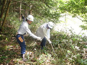 前回の「ドコモ徳地滑松の森」森林整備活動の様子(2010.9.1)