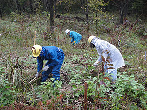前回（2011年）の「ドコモ島根だんだんの森」森林整備活動の様子
