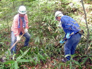 前回の「ドコモ徳地滑松の森」森林整備活動の様子