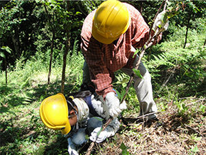 前回の「ドコモとっとり伯耆の森」森林整備活動の様子（2012.8.4）