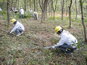 前回（2012年）の「ドコモ島根だんだんの森」森林整備活動の様子