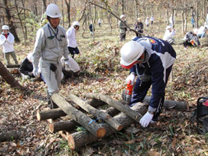 前回（2013年）の「ドコモ島根だんだんの森」森林整備活動の様子