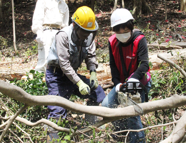 写真：本年4月の定光寺の森整備活動の様子
