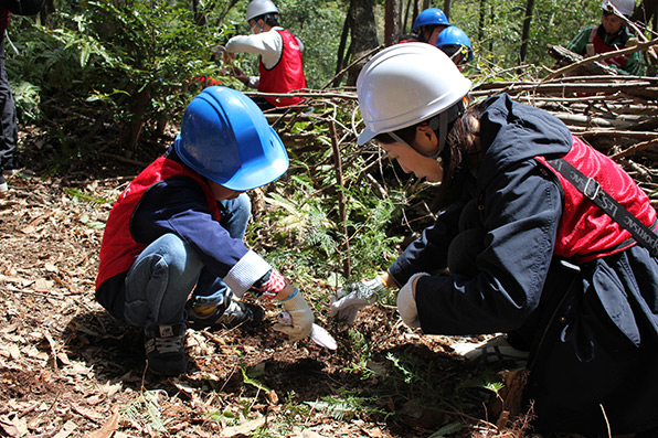 「ドコモ定光寺の森」森林整備活動の様子