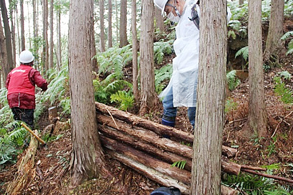 「ドコモ天竜の森」森林整備活動の様子