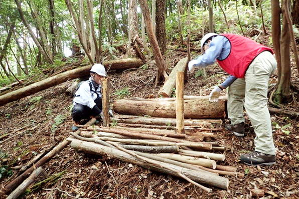「ドコモ天竜の森」森林整備活動の様子